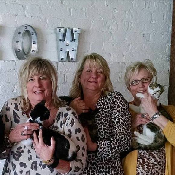 Meet your Posher, Terrie - Picture 1 of 1